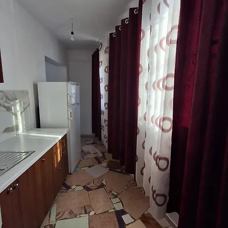 Lion's Apartment